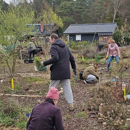 Fleißiges Team im Klimagarten