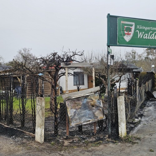 Feuer in der Kolonie Waldessaum